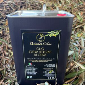 OLIO EVO BIOLOGICO LATTA DA 3 L